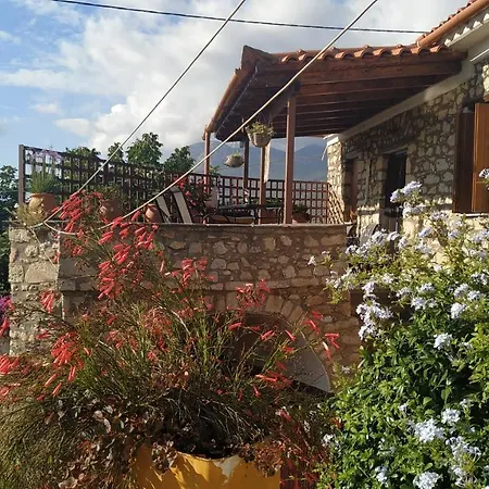 Zarnata House *